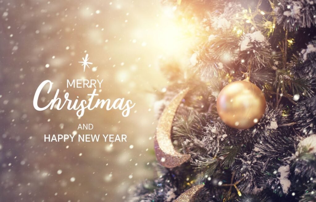 Merry Christmas and Happy New Year From Our Family to Yours