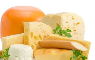 Cheese Equipment