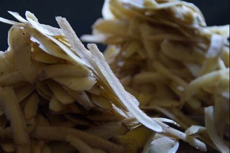 Efficiency Unleased: Exploring the Benefits of Peeling Machines