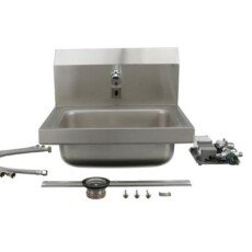 Intelli-Flo EZ Electronic Hand Wash Station with Thermostatic Mixing Valve and .5 gpm PCA Spray andal Resistant - KE25-B031-CA1