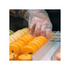 Disposable Poly Gloves - One Size - 500/Box GP060