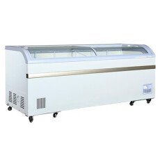 Restored Like New EFI FCCG-79 Display Freezer